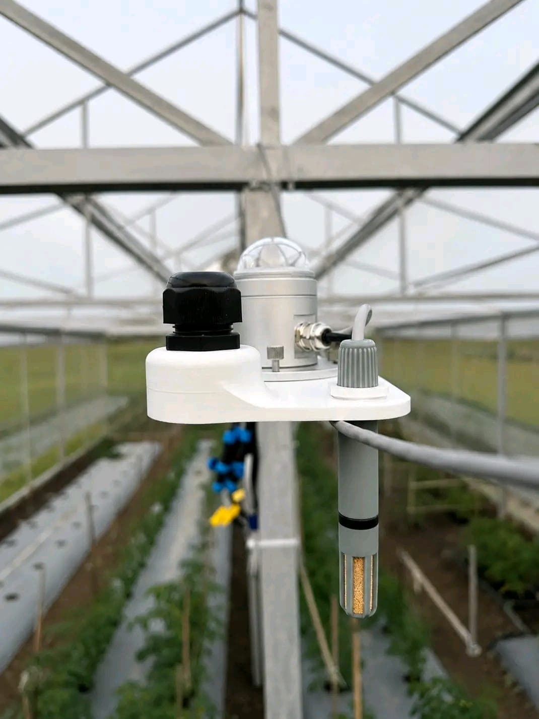 Agricultural Automation & IoT Monitoring System Gallery 2